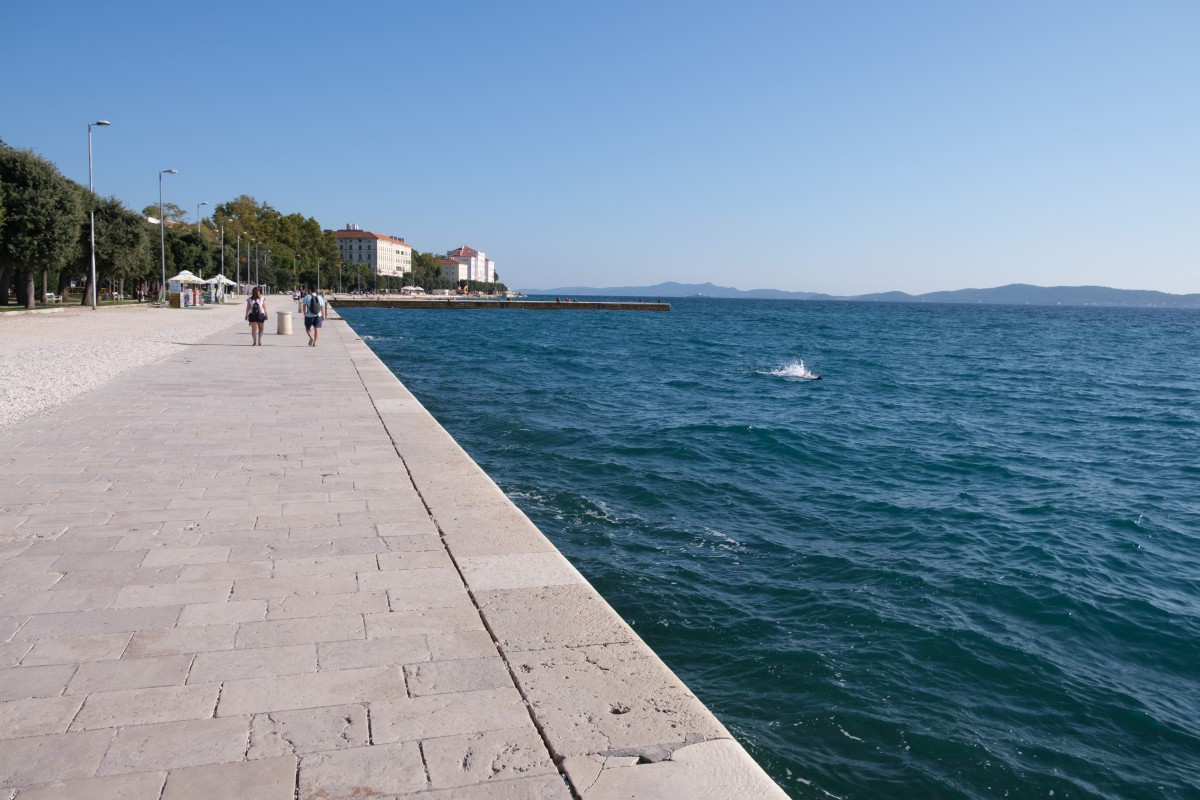 DSCF4199.JPG