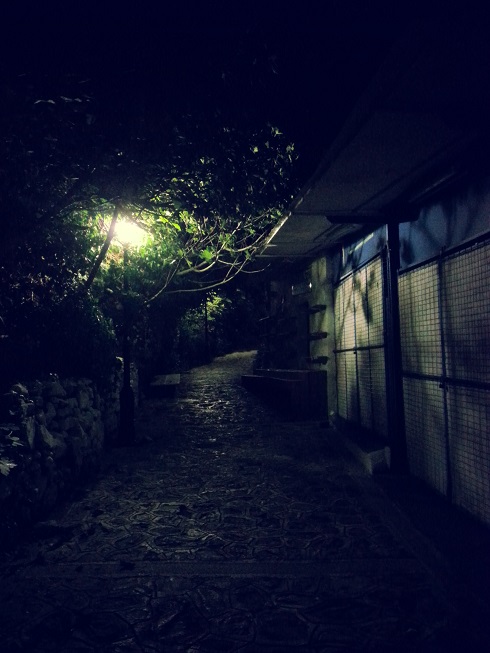 20140909_054603.jpg