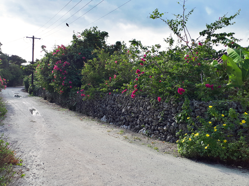 taketomi-street3x800.jpg