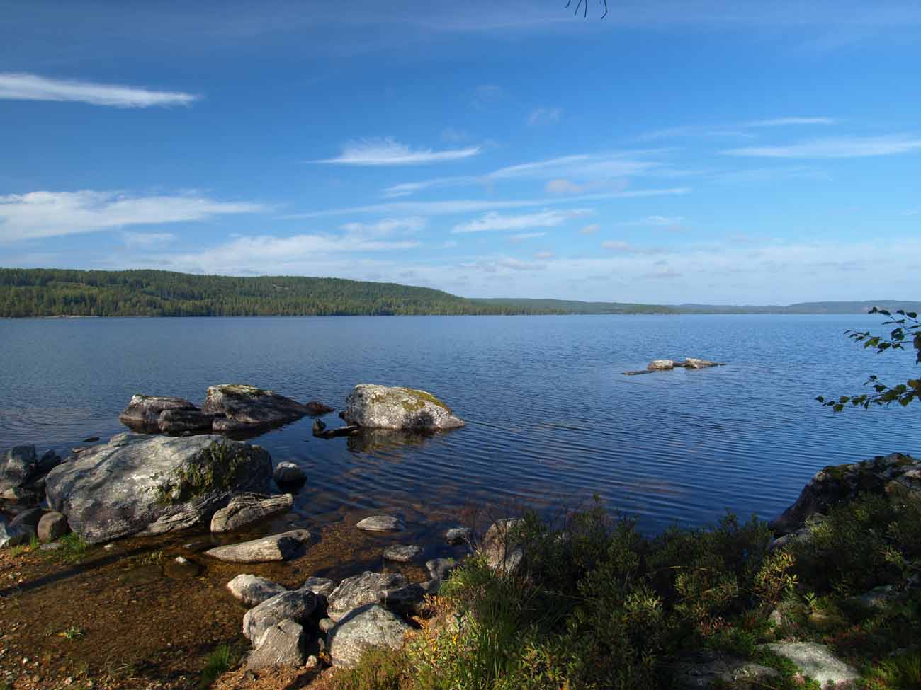 P1016166m.jpg