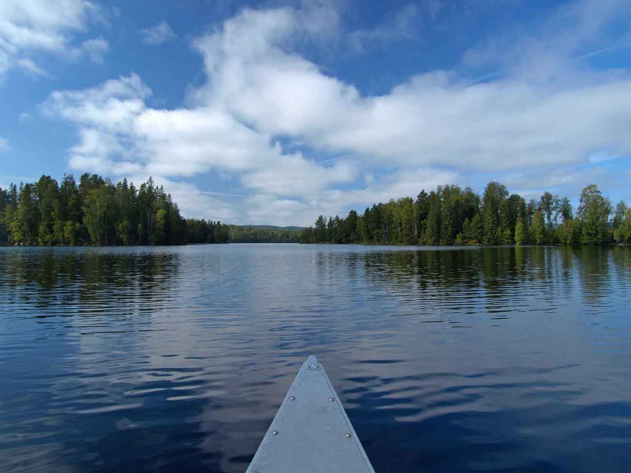 P1016151m.jpg