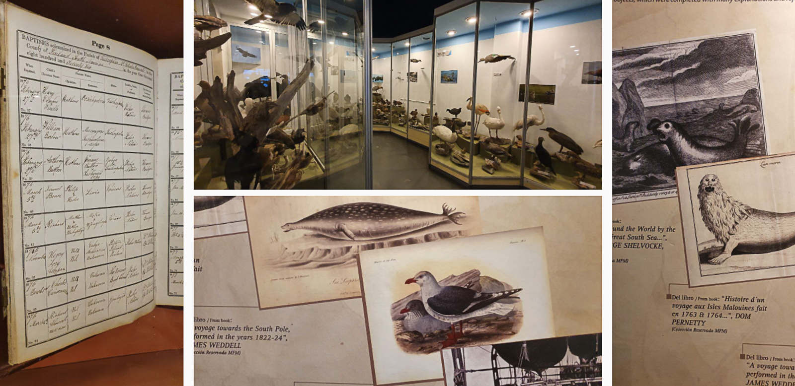 1a. museo del fin del mundo.jpg