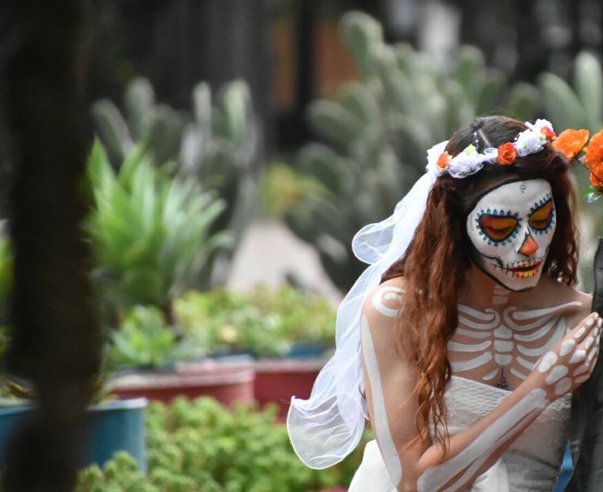 CDMX1.jpg