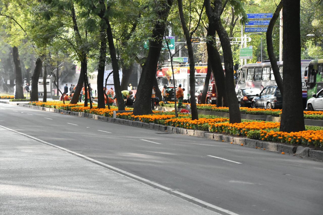 CDMX2.jpg