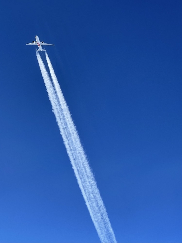 EK222.jpg