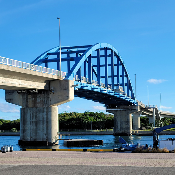 southern-cross-bridgex600.jpg