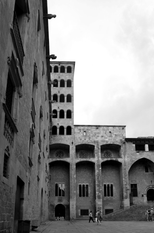 DSC_7470.jpg