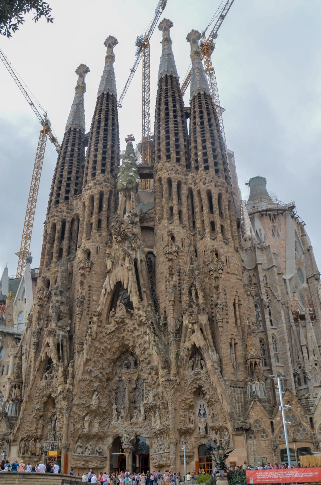 DSC_7472.jpg