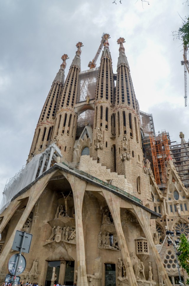 DSC_7499.jpg