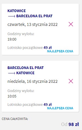 Przechwytywanie zawartości sieci Web_8-11-2021_82714_wizzair.com.jpeg