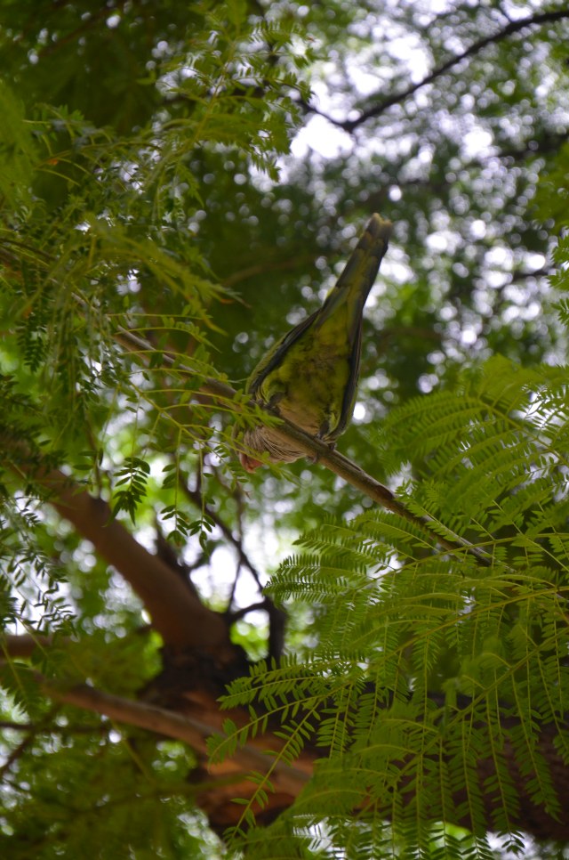 DSC_7567.jpg