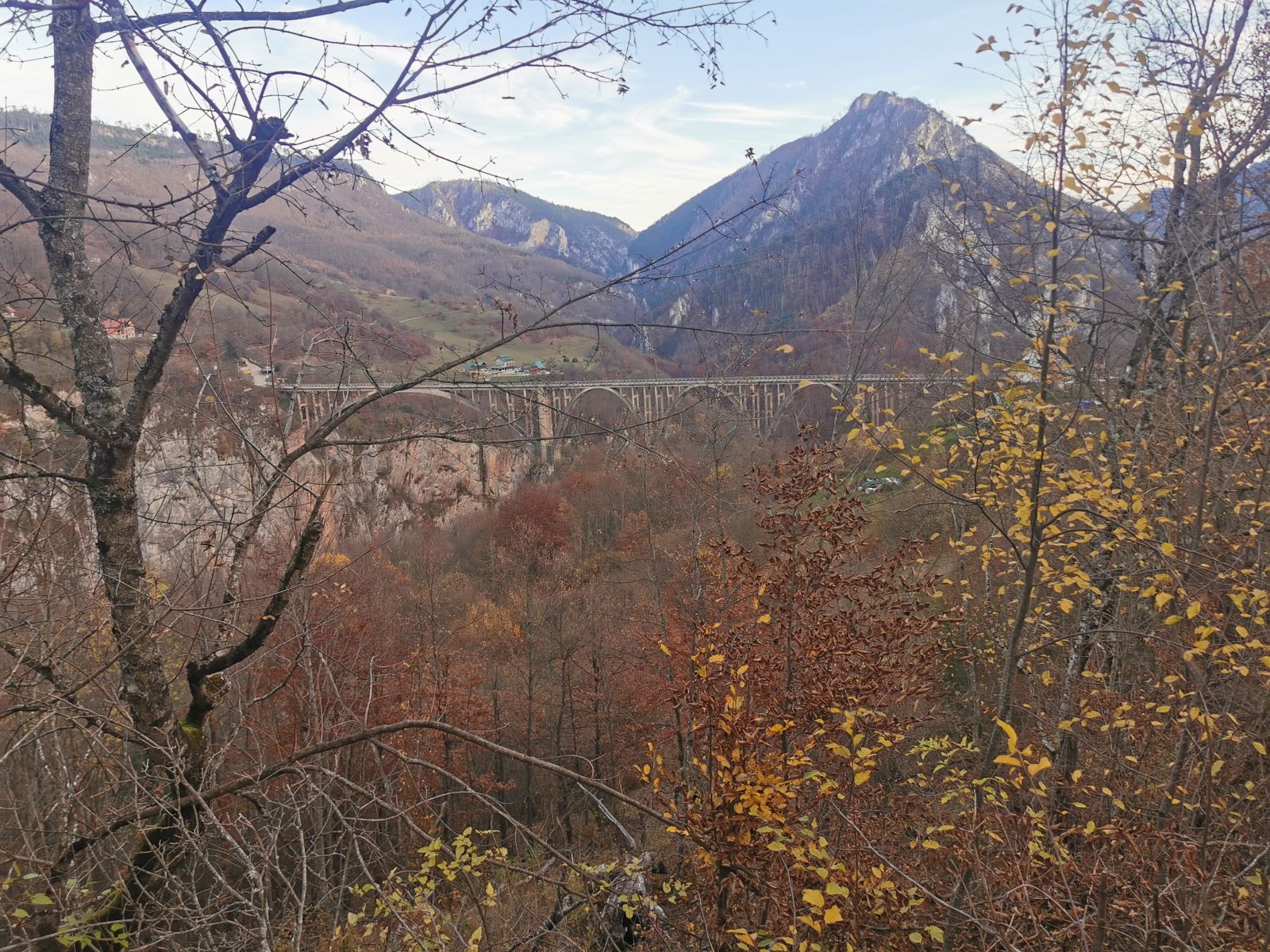 59.jpg
