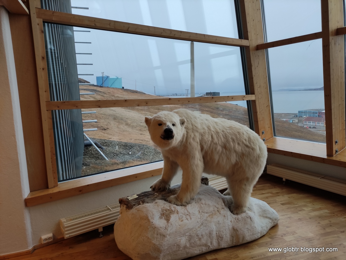 2021_10_Spitsbergen_01_005.jpg
