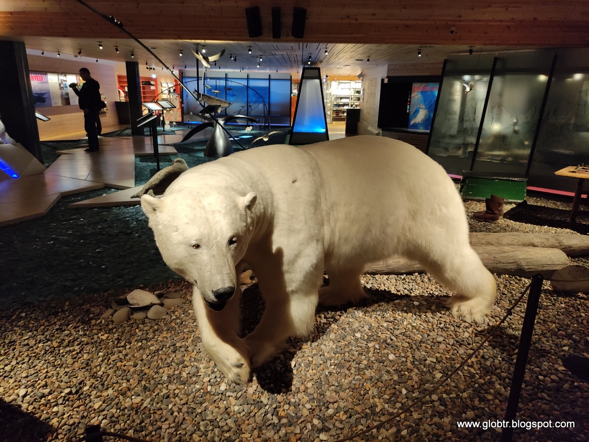 2021_10_Spitsbergen_01_006.jpg