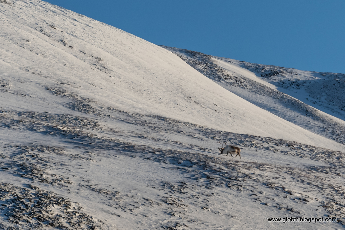2021_10_Spitsbergen_142.jpg