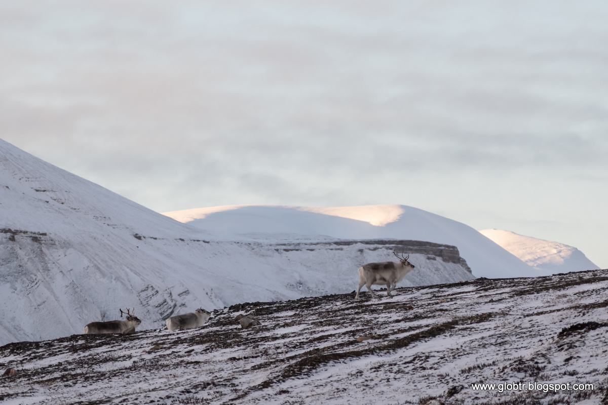 2021_10_Spitsbergen_251.jpg