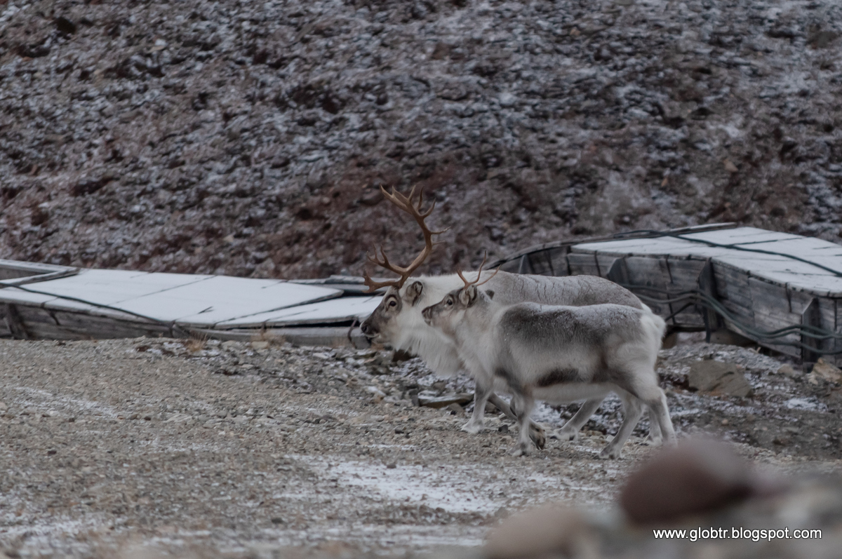 2021_10_Spitsbergen_421.jpg