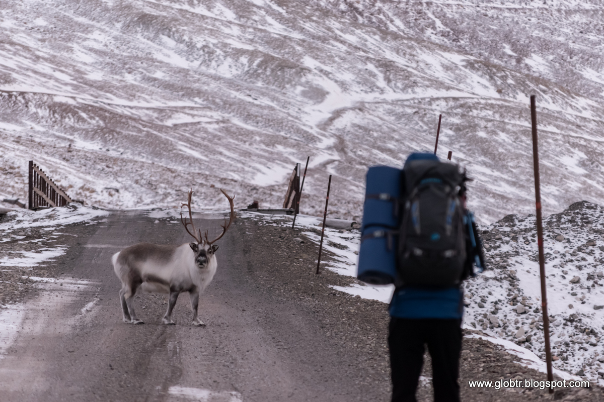 2021_10_Spitsbergen_440.jpg