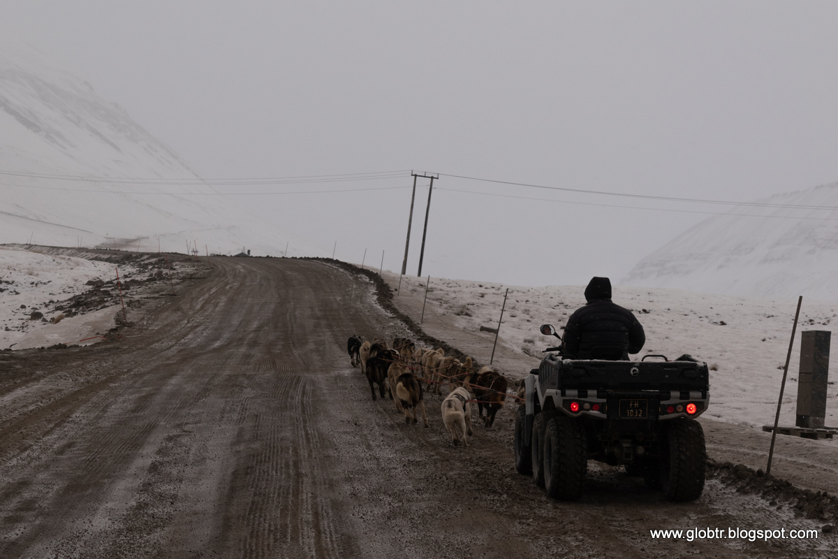 2021_10_Spitsbergen_570.jpg