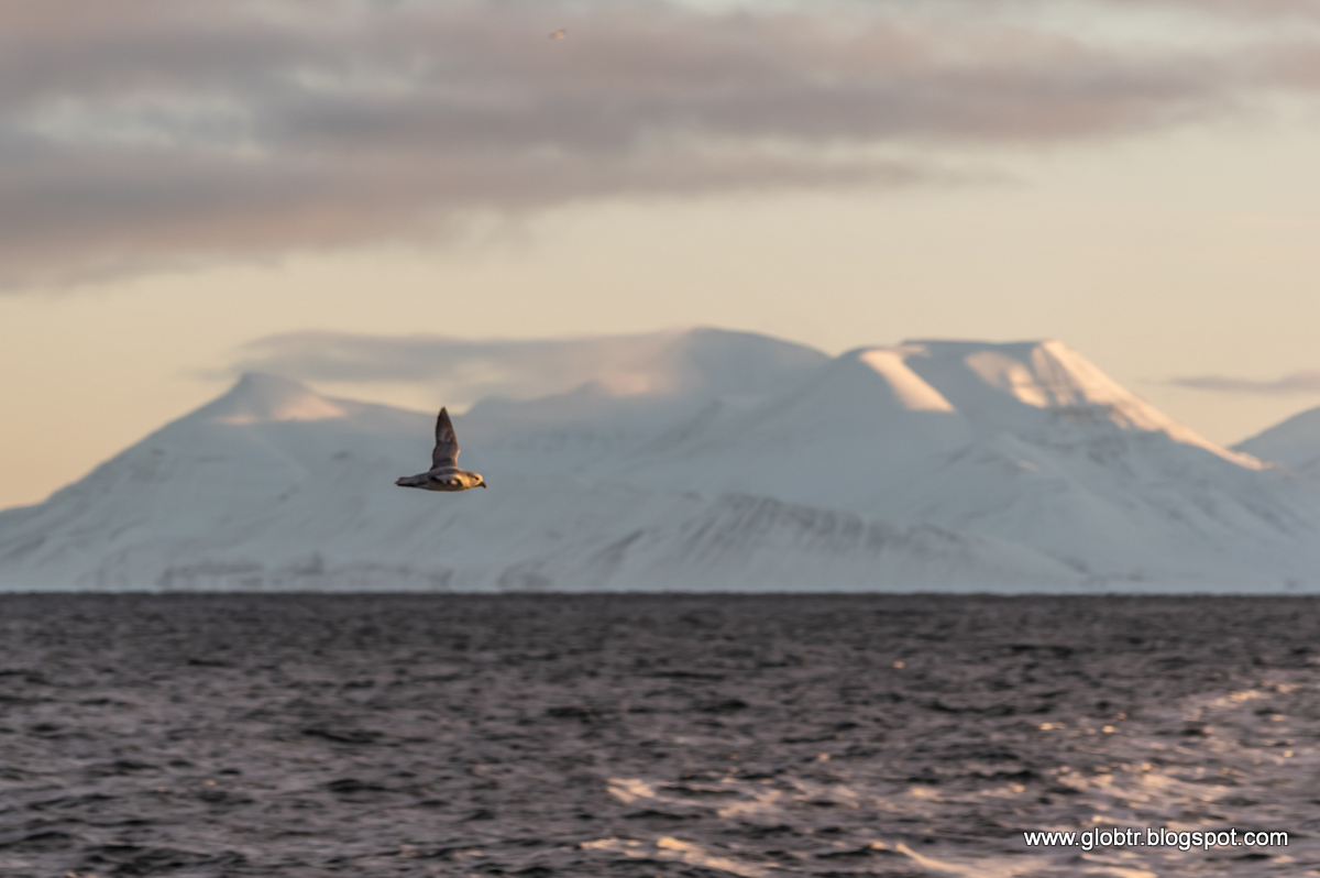 2021_10_Spitsbergen_095.jpg