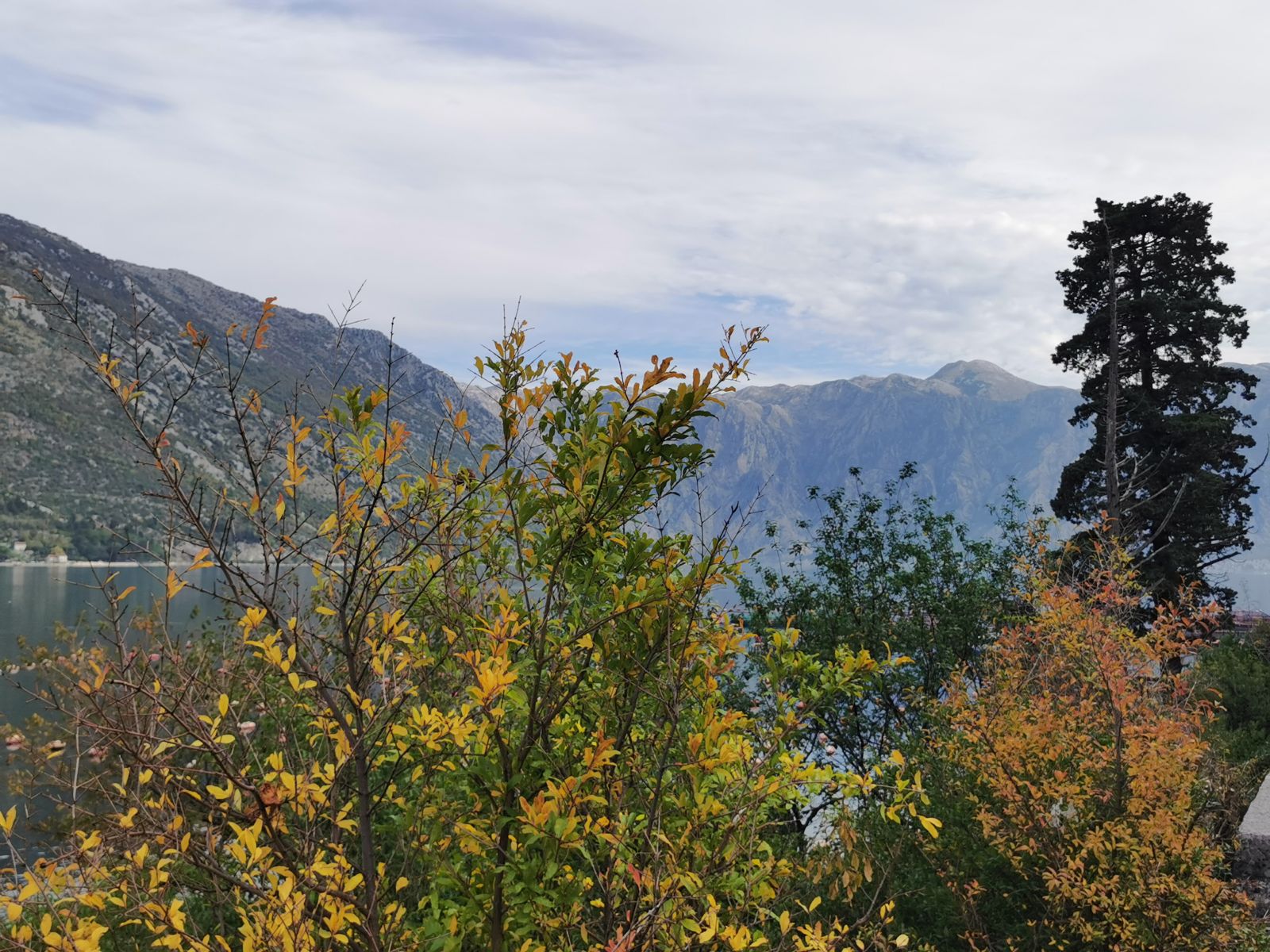 IMG_20211112_104136.jpg