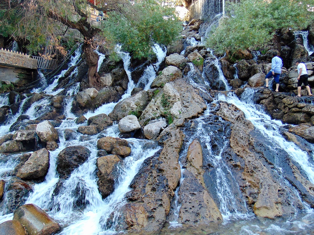 DSC01610.JPG