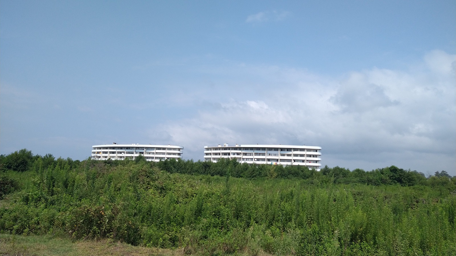 IMG_20210830_140735677.jpg