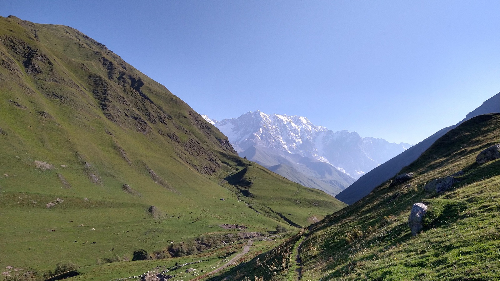 IMG_20210829_091112667_HDR.jpg