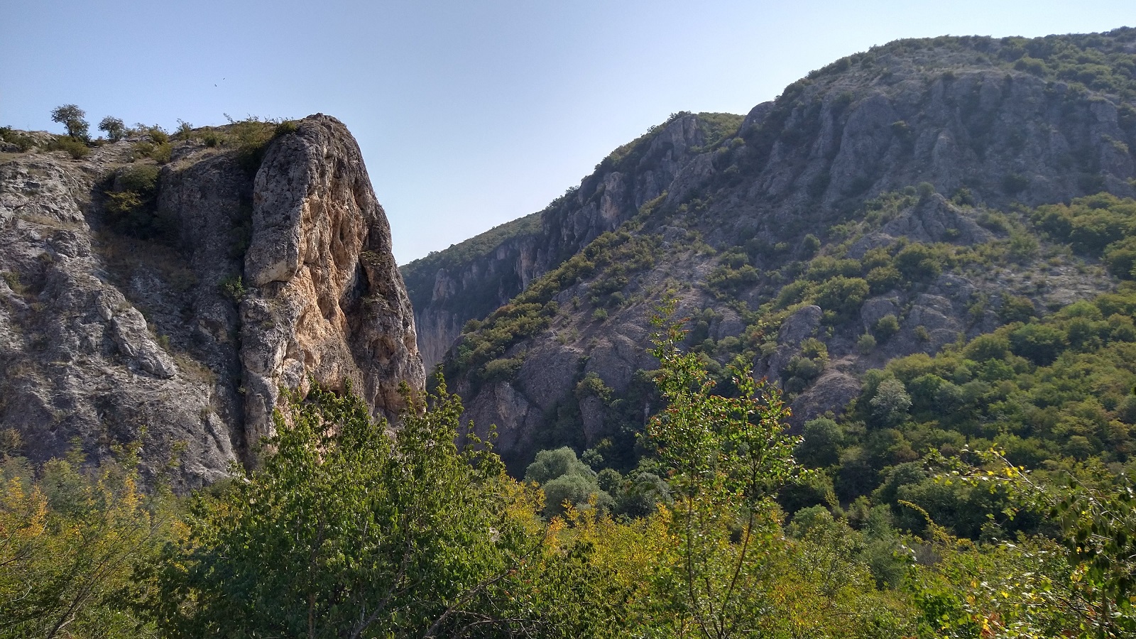 IMG_20210902_095812725_HDR.jpg