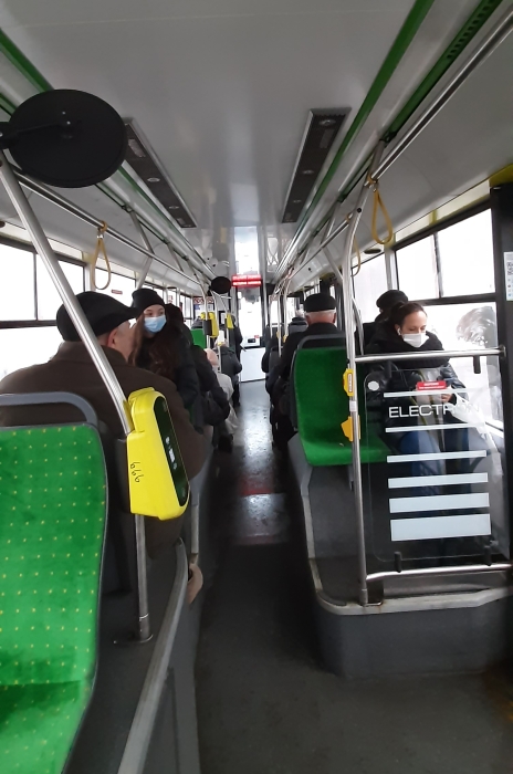 tbus.jpg