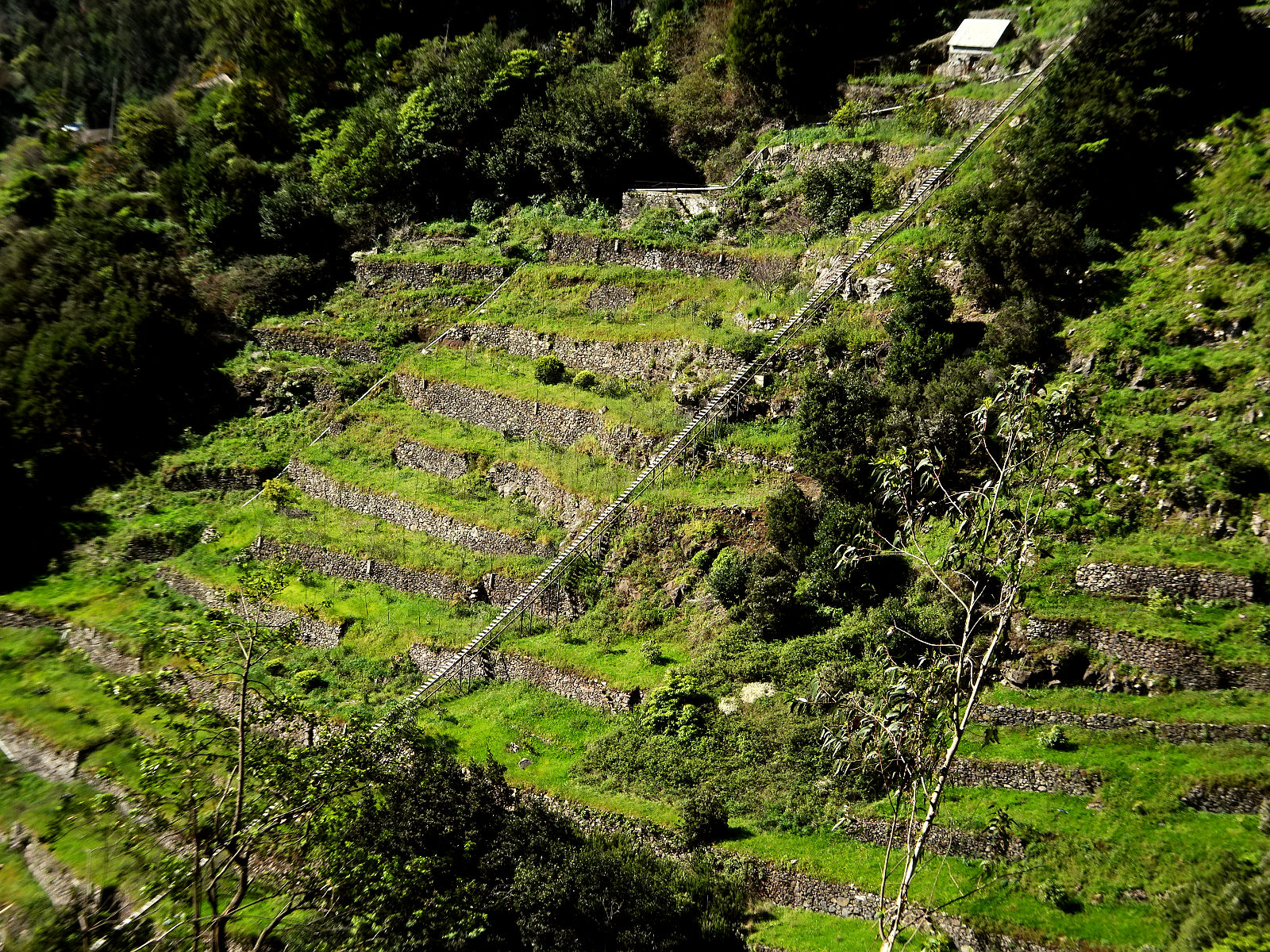DSC02582.JPG