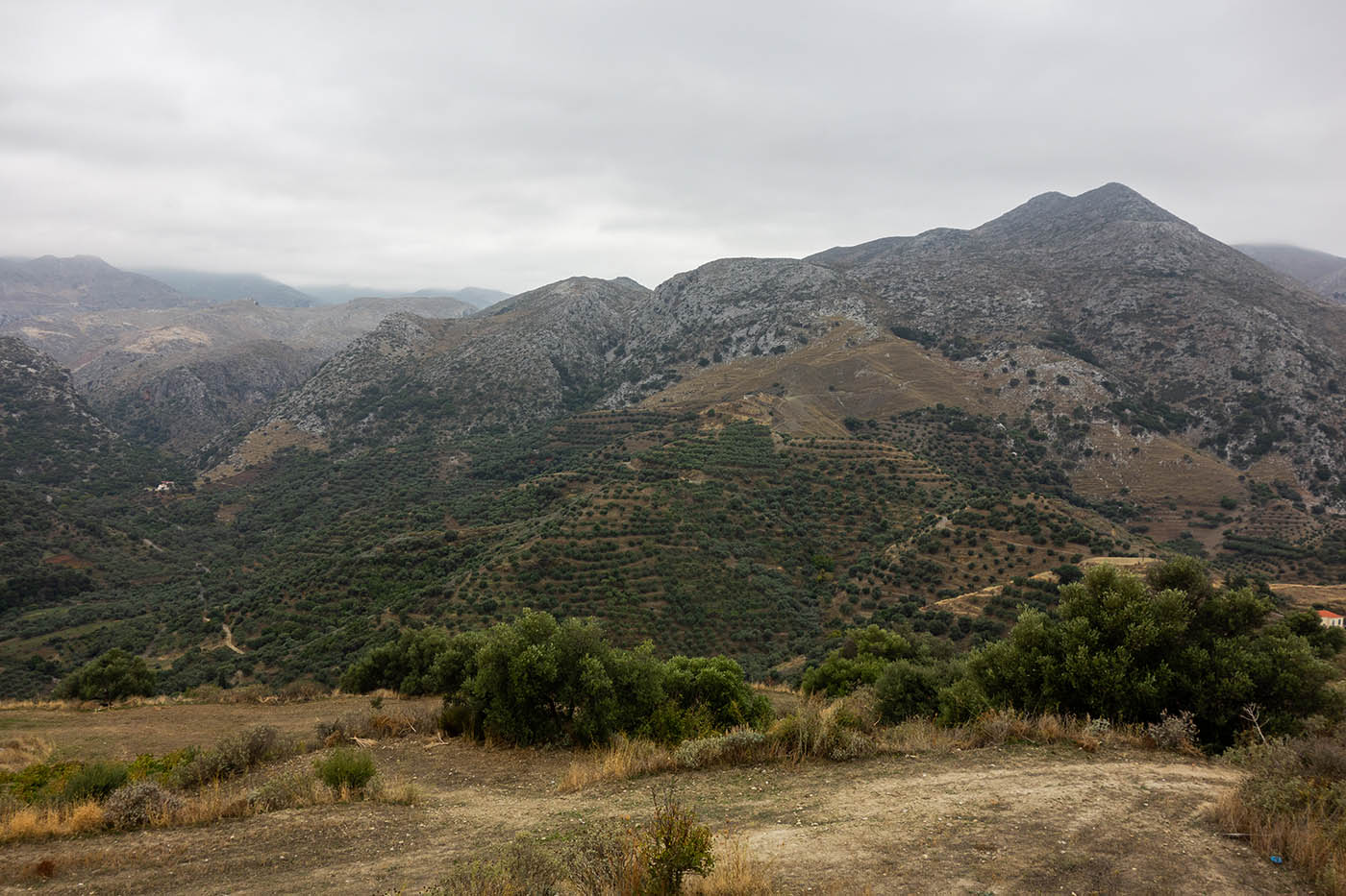 30-polirinia.jpg