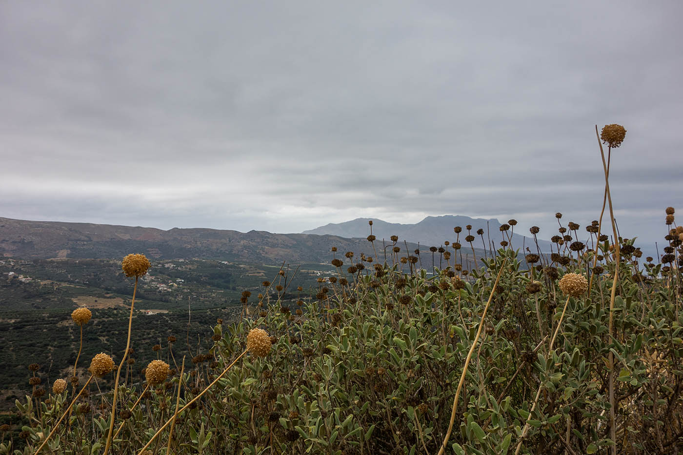 34-polirinia.jpg