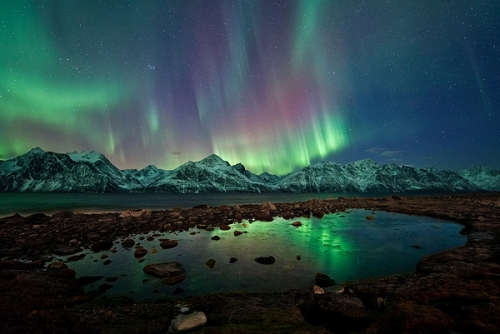 f4f_tromso.jpg