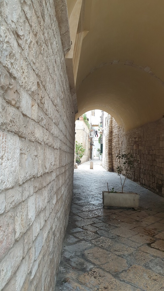 Bari_2.jpg
