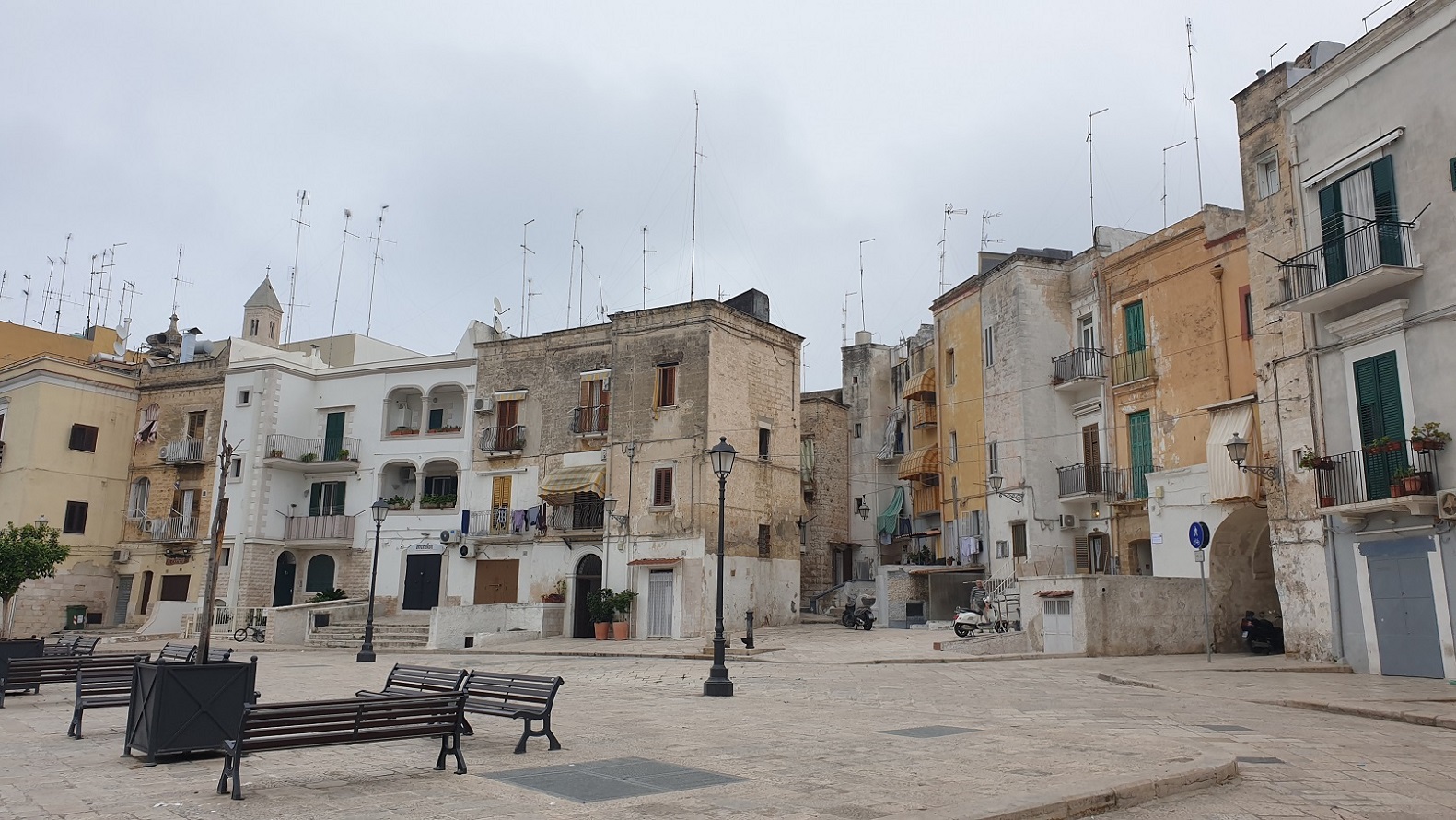 Bari_1.jpg