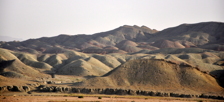 dsc_0165.jpg