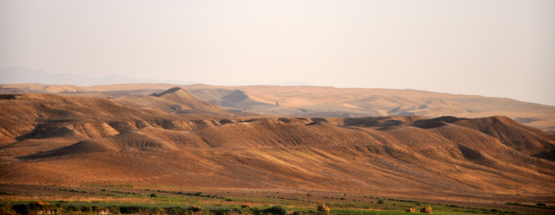 dsc_0184.jpg