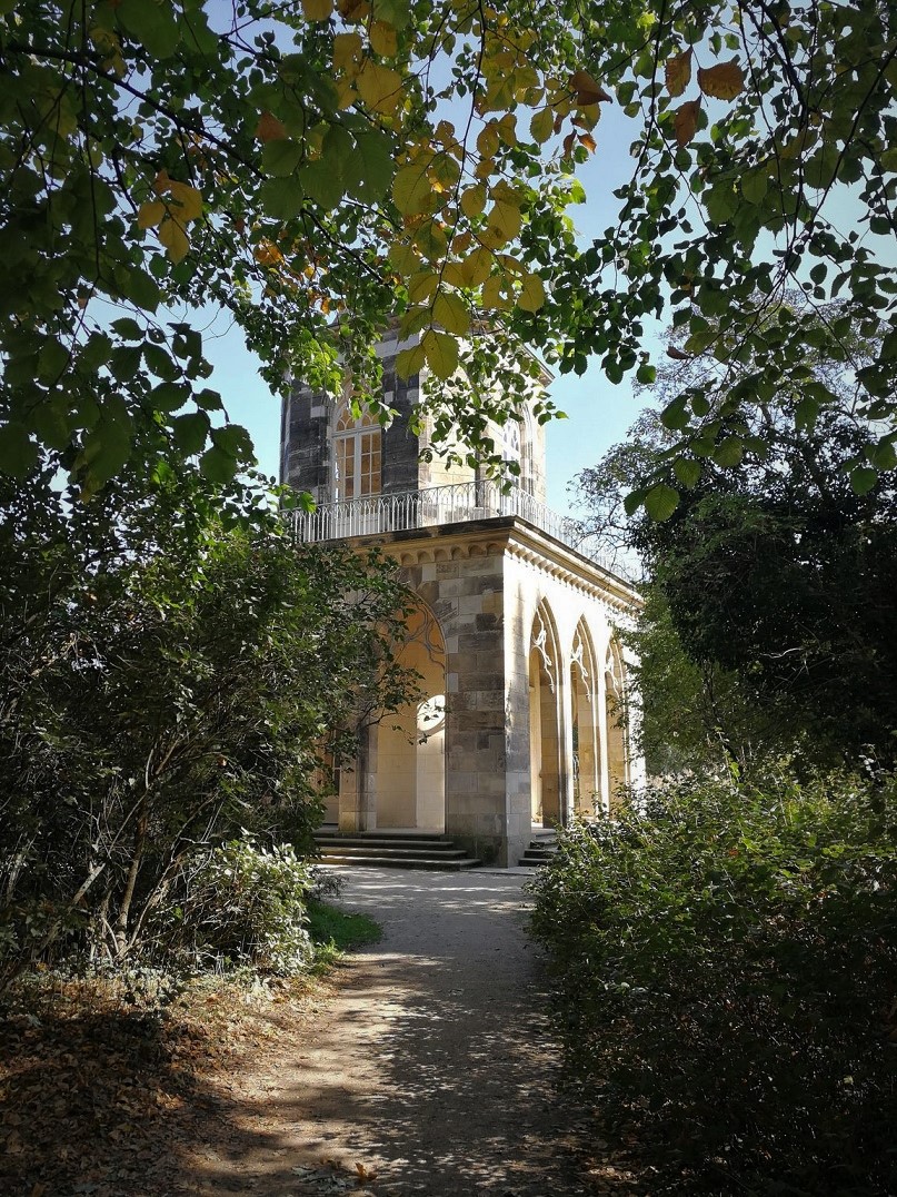 p19.jpg