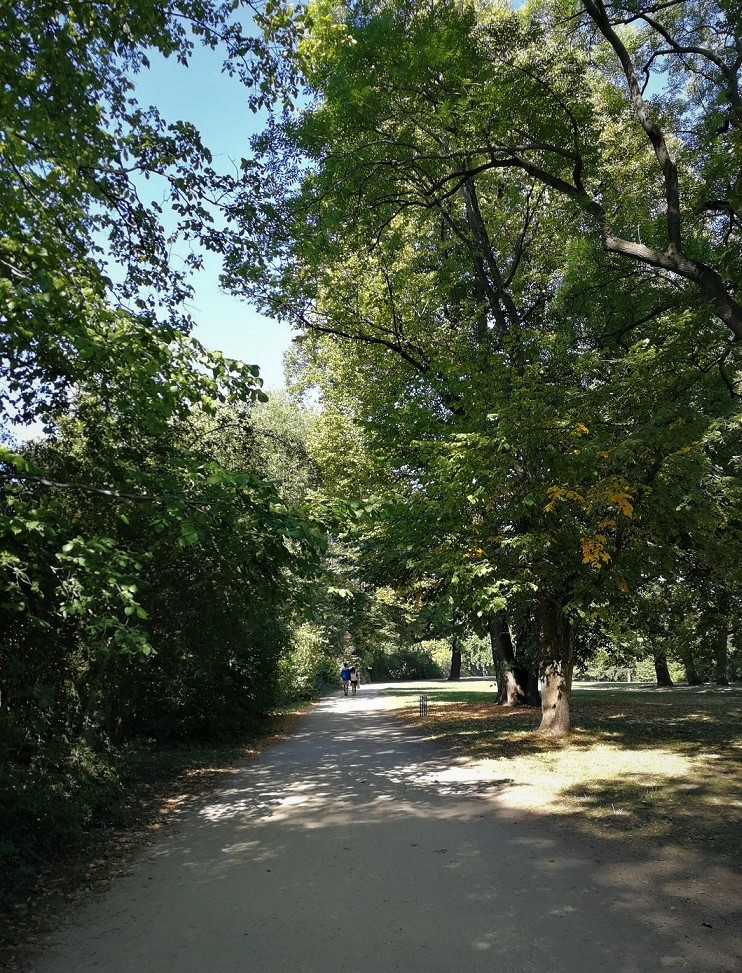 p20.jpg