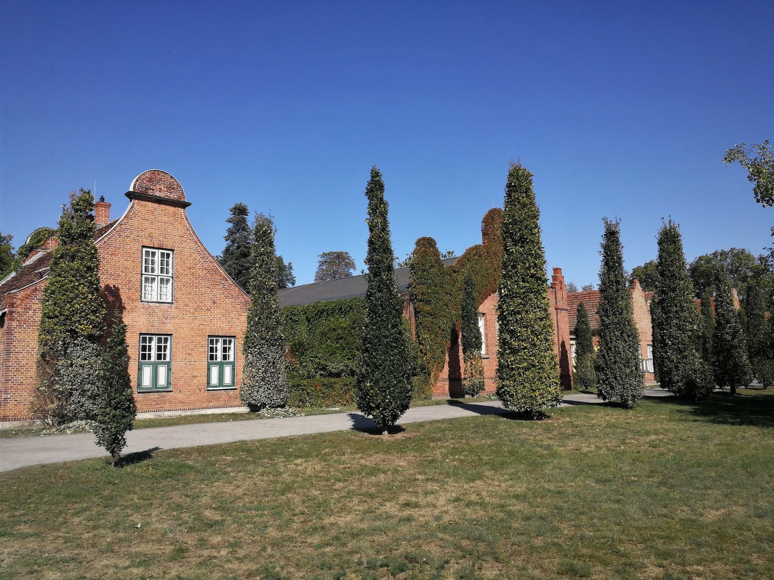 p24.jpg