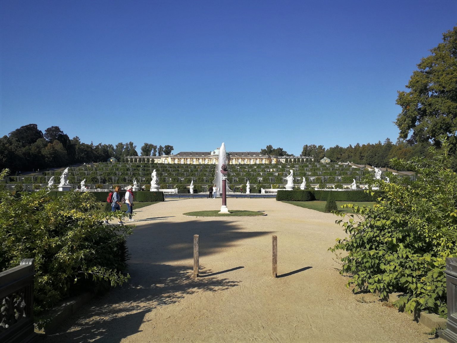 p36.jpg