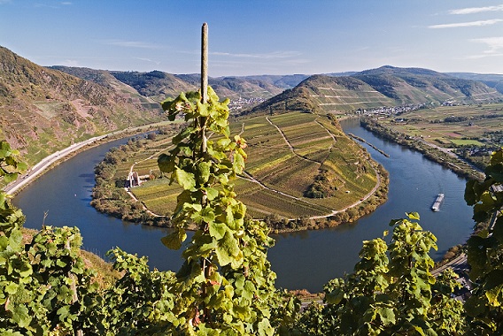 mosel.jpg