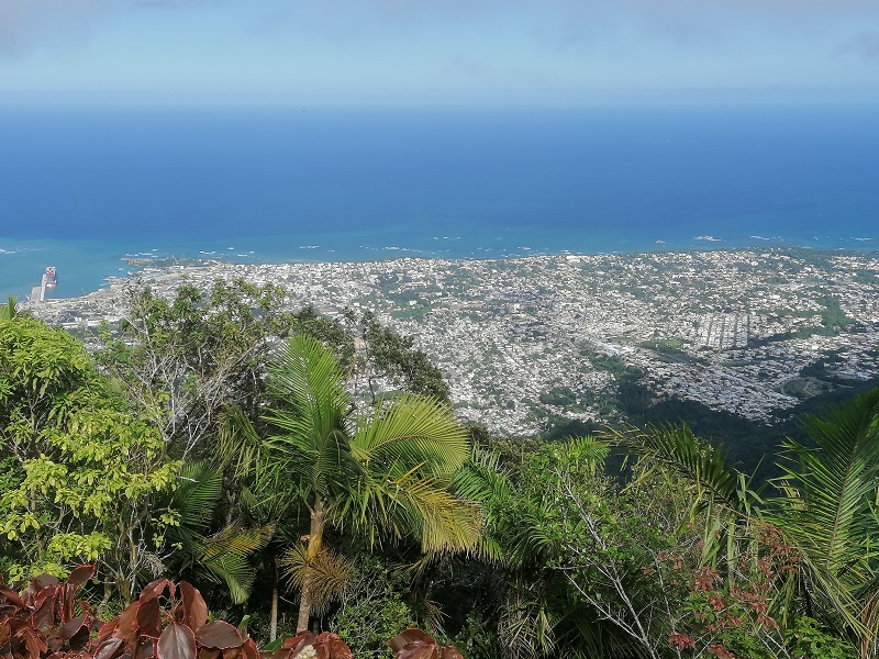 10-Pico_Isabel.jpg