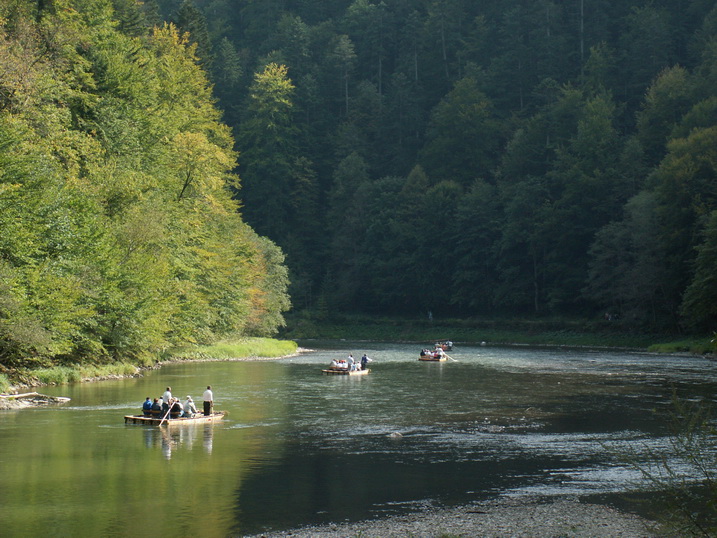 PICT8963_resize.JPG