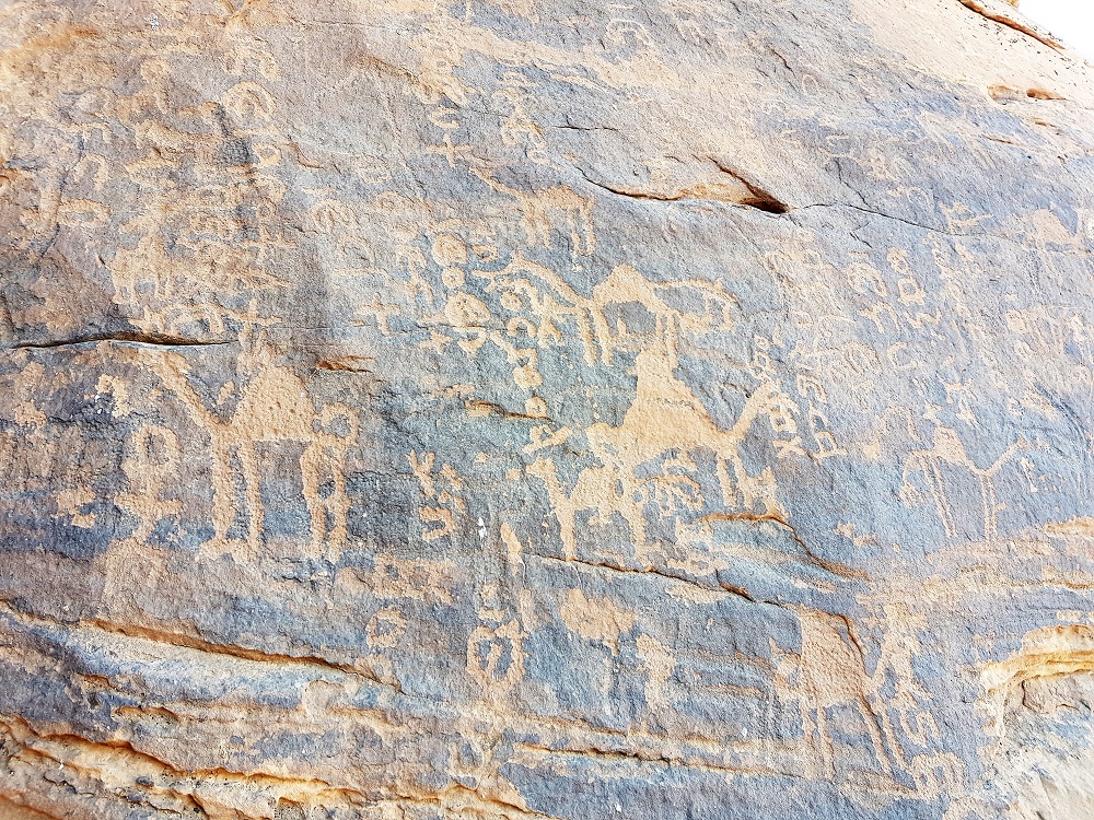 20211108_081845.jpg