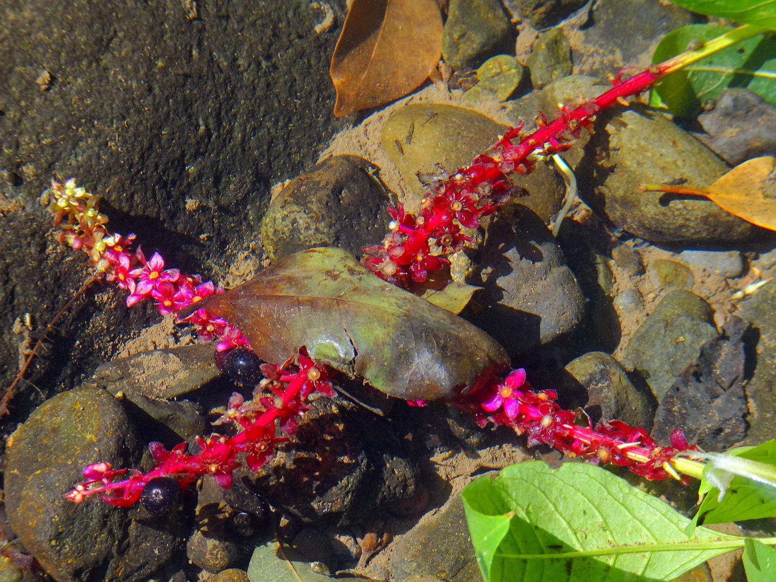 DSC02616.JPG