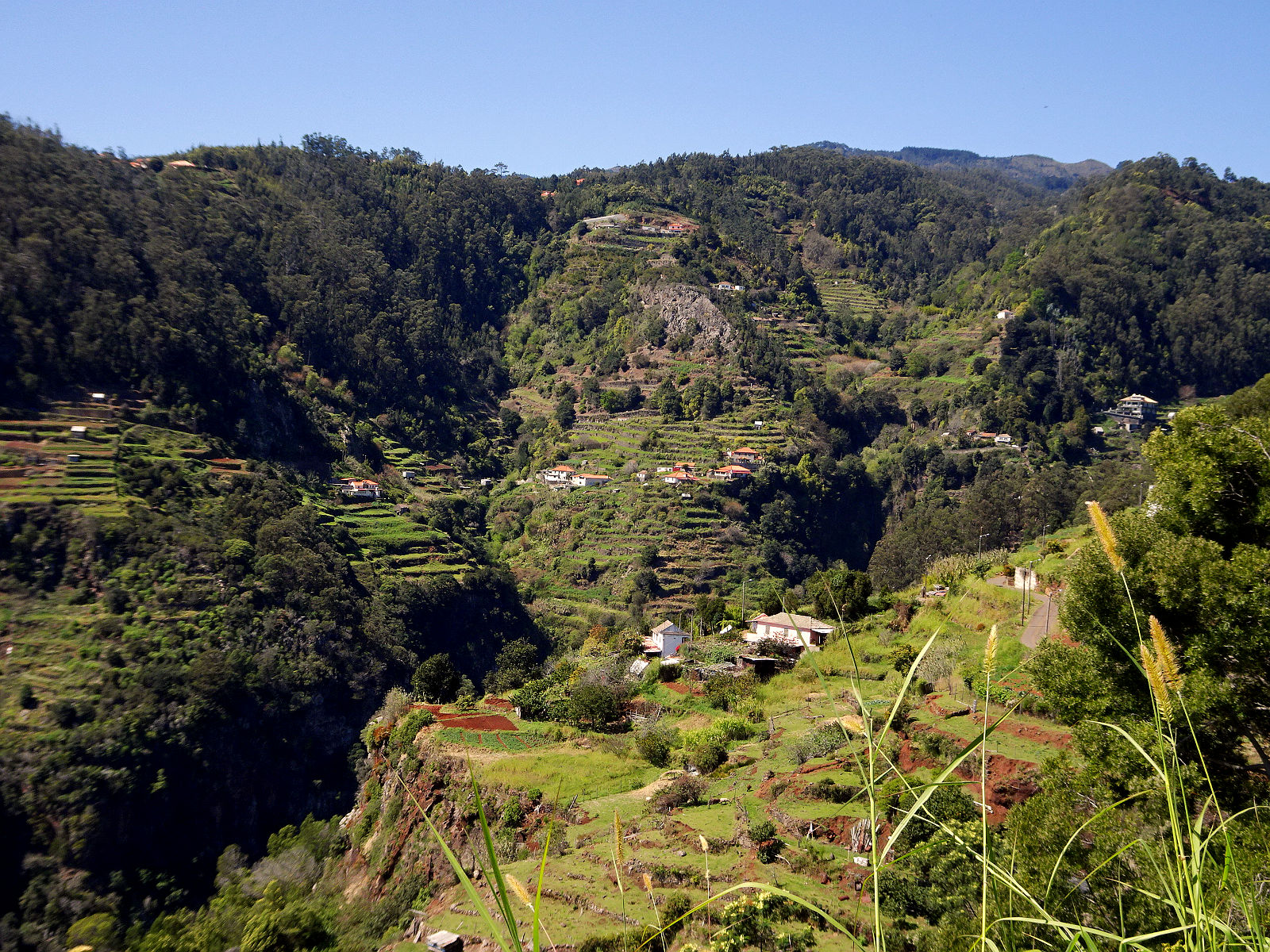 DSC02705.JPG