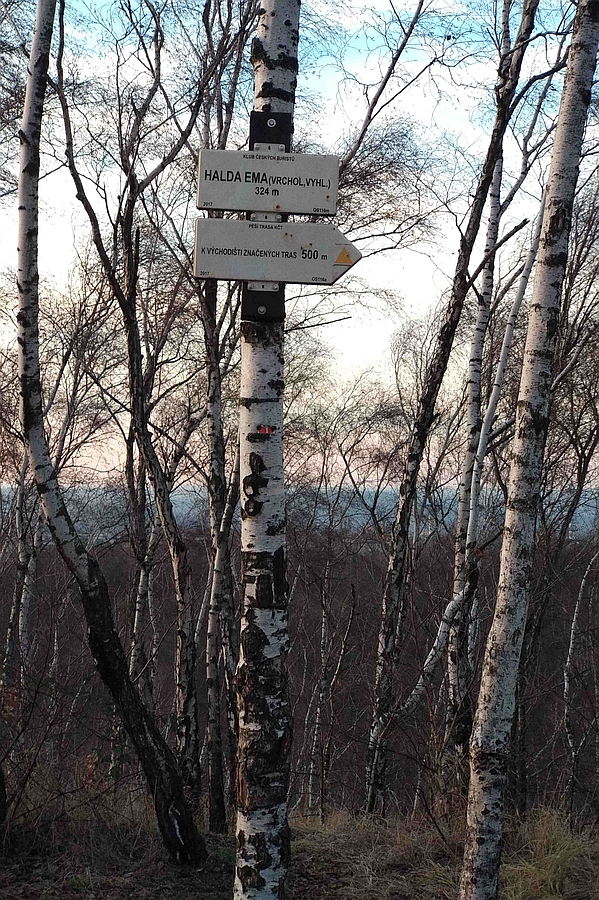a55.jpg