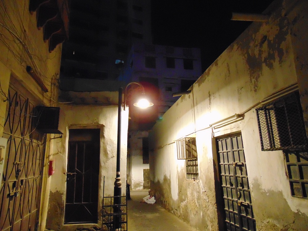 DSC01831.JPG